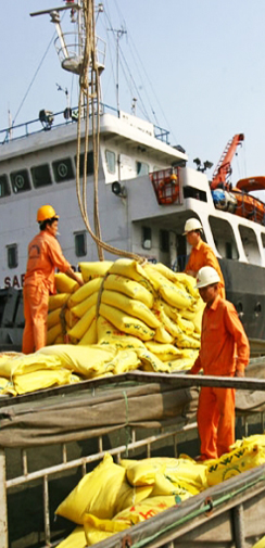 svc-cargo-3